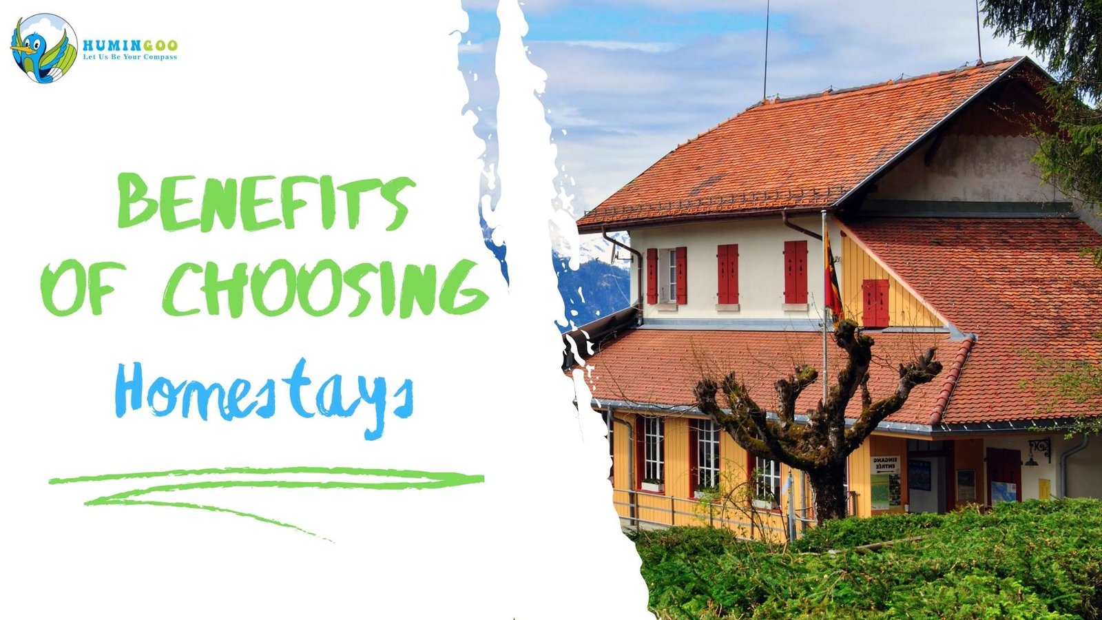 Homestay Provider Top 10 Benefits Of Choosing Homestay While In Mountains